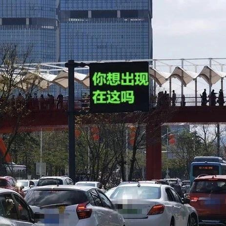 深圳车外地违法线上办！深圳交警推出12+11项便利措施 | 我为群众办实事