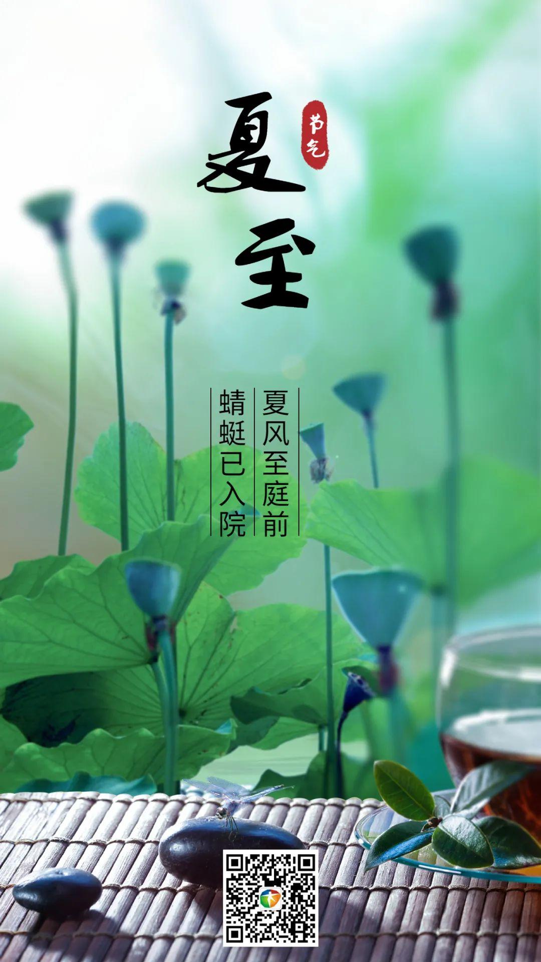 今日夏至