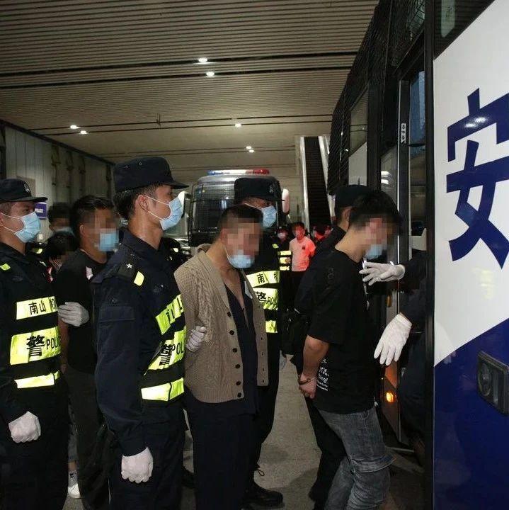 南山分局打掉一网络诈骗引流犯罪团伙