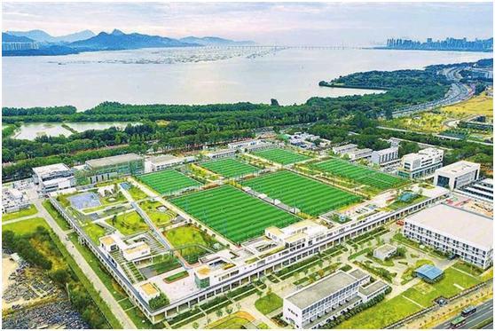 深圳首个“足球主题生态体育公园”开园,福田再添“硬核”运动打卡地!_深圳新闻网