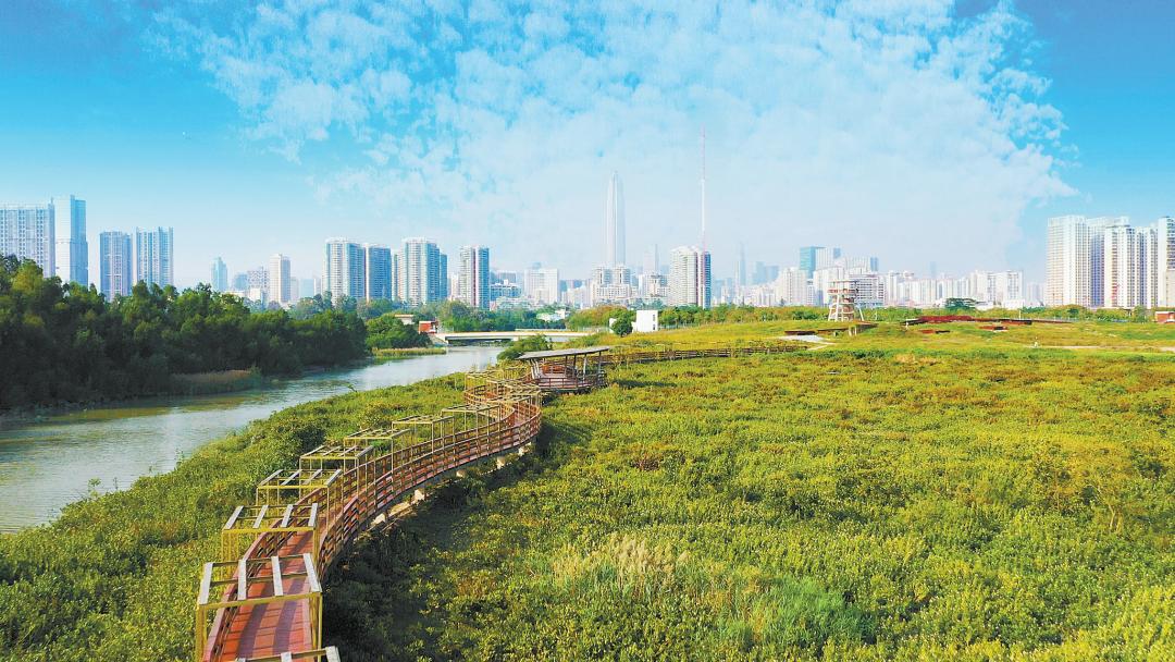 全国首个!福田打造“500米半径公园全覆盖”中心城区_深圳新闻网