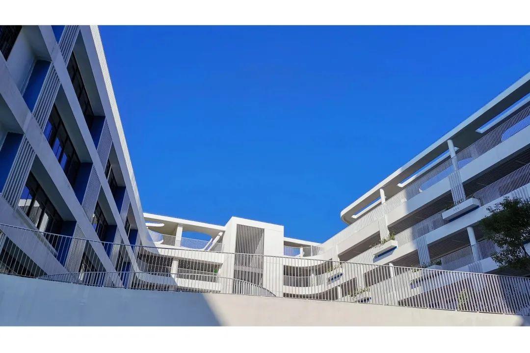校园一隅 | 当光影遇到诗意——深圳市教育科学研究院实验小学（光明）_深圳新闻网