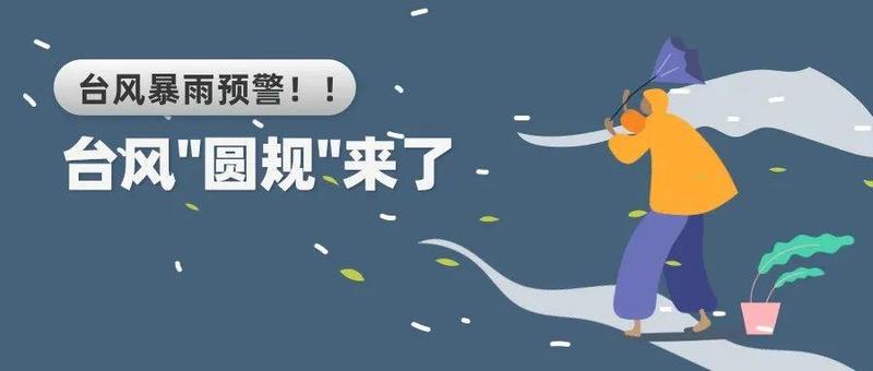 四类交通违法不处罚，这份出行攻略关乎所有人……