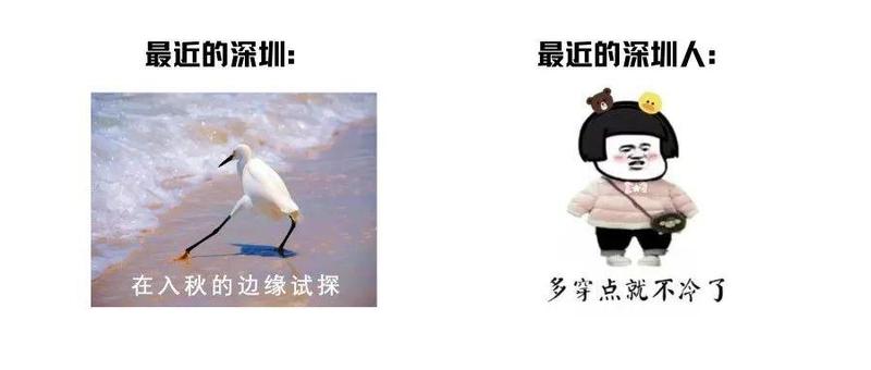 @深圳人，雨水+降温，最低温度16℃你准备好了吗？