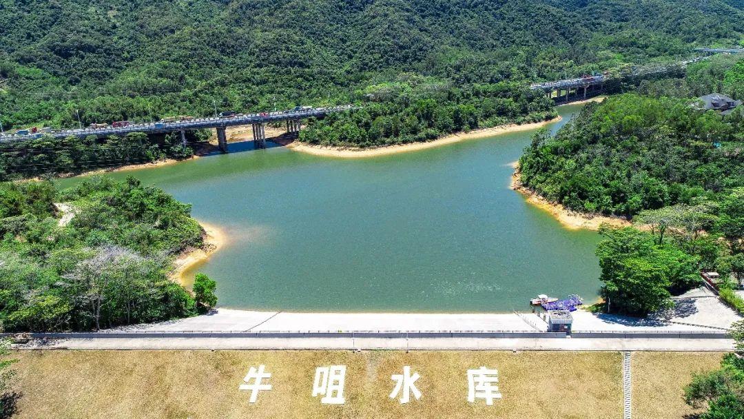 绿色印入眼帘在城市楼宇之间总库容最大的水库民治水库是龙华区地址