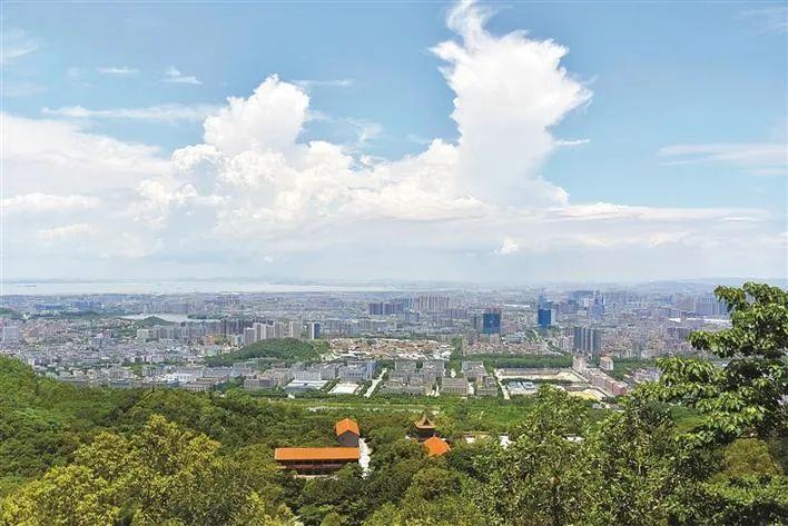 宝安区举办2021年重点产业招商大会空港经济专场