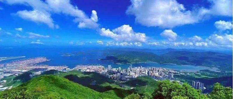 观察 | 让企业“近者悦远者来”，盐田有“三得”！