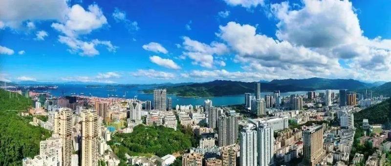 力度、温度和高度！解码盐田招商引资的秘诀……