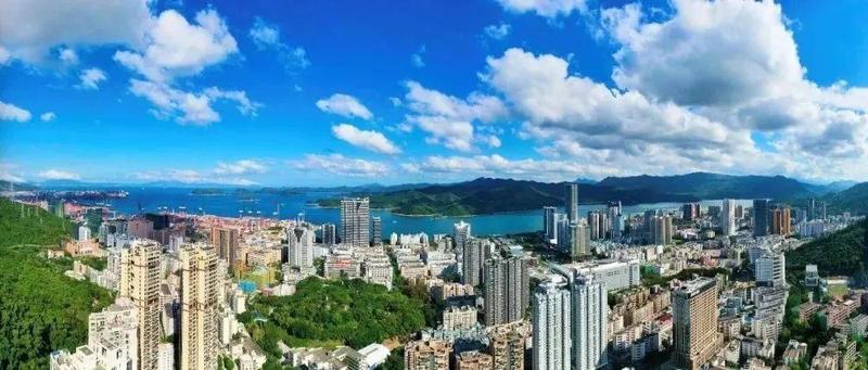 力度、温度和高度！解码盐田招商引资的秘诀……