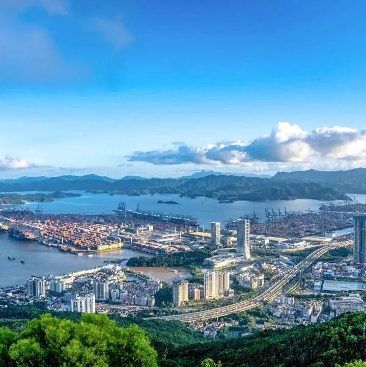 打造国际一流营商环境，盐田有这些创新之举！