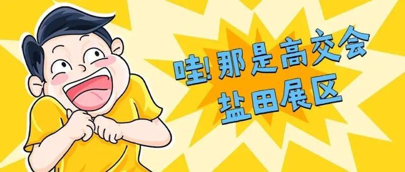 看完高交会盐田展区，咱俩的反应估计是一样的：哇，不明觉厉！