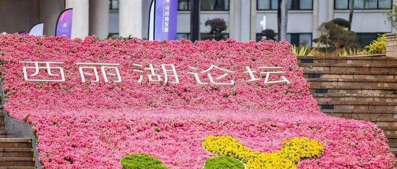 西丽湖论坛如何打造成国际化品牌？