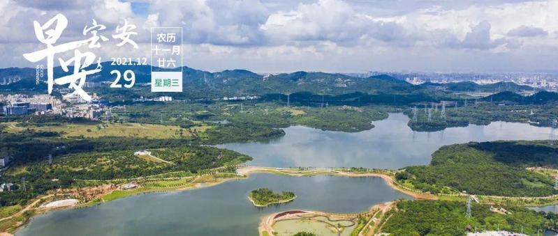 区委书记王守睿做客《民心桥》，与市民畅谈！宝安区首个棚改项目39区海乐花园启动回迁入伙！| 早安，宝安
