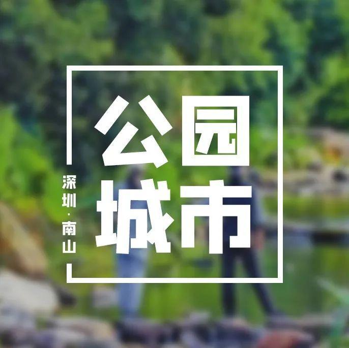 南山新添一景区！去塘朗山又多个地方玩了