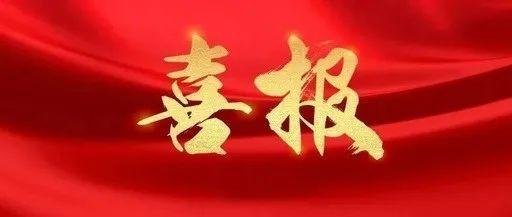 南山区工商联蝉联全国“五好”县级工商联荣誉称号