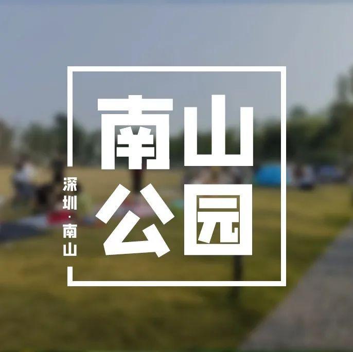 南山这两个公园可以搭帐篷啦！