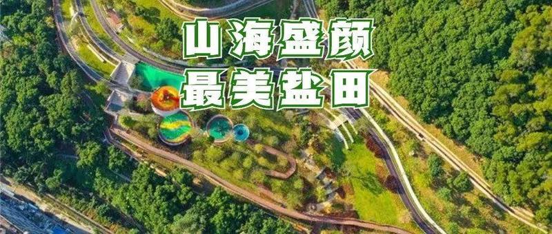 游盐记③丨沙头角公园：览山望海观城时，邂逅悠然慢生活