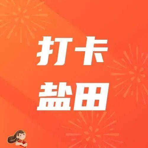 元旦巡游、虎力冲天年货节、地铁文化旅游节......1月盐田充满新气象！