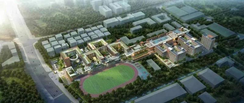 提供3000学位！深圳市第十三高级中学主体结构全面封顶