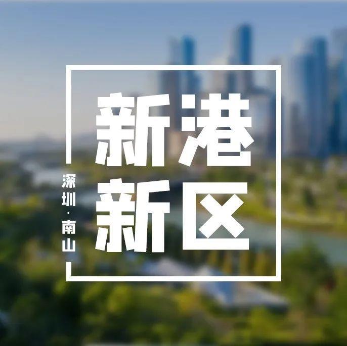 潮起大湾区，扬帆新高地！前海“新港新区”开港启用！