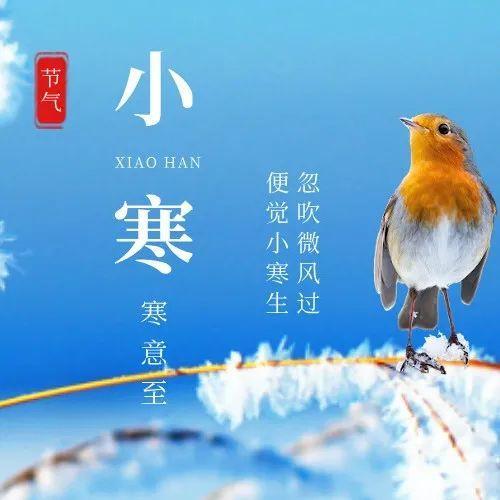 降温+降雨！小寒真滴有点“寒”！最低气温→