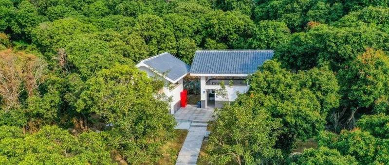 入谷寻幽，登高远眺，深圳这座公园又添绿色新福利！