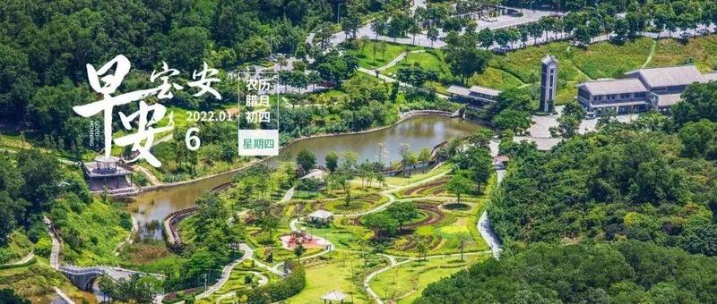 串联深圳5个区！地铁21号线、25号线剧透来了！| 早安，宝安| 早安，宝安