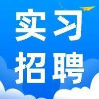 盐田区机关事业单位喊你来实习啦~