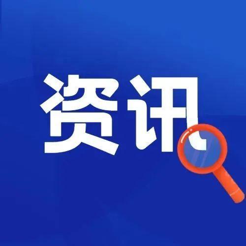 李姐又“上线”了！阿叔阿婆：看到她就很暖心