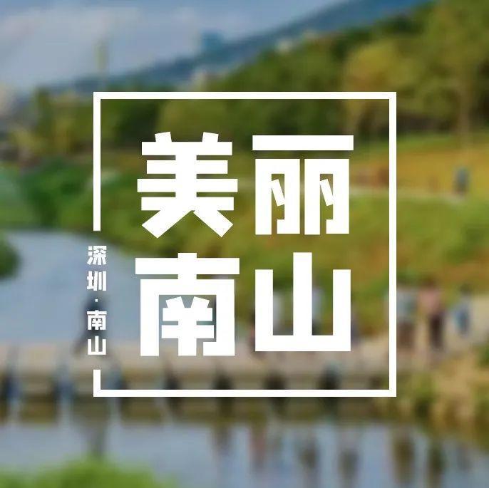 践行“绿水青山就是金山银山”，南山生态美景频频出圈