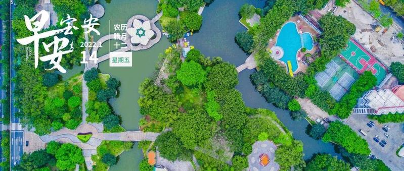 宝安15大类民生产品不断档不断供价格稳定丨早安，宝安