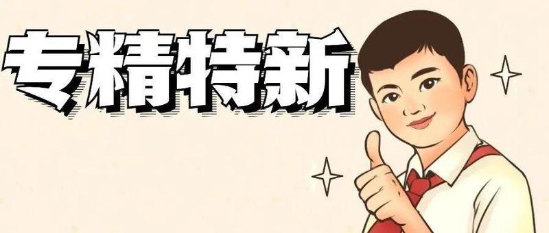 盐田三家企业上榜省级“专精特新”   ，“产业兴盐”之路持续“加速跑”