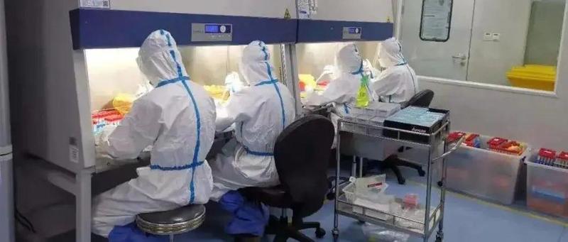 为啥你的核酸报告还没出？可能是这个bug卡住了！