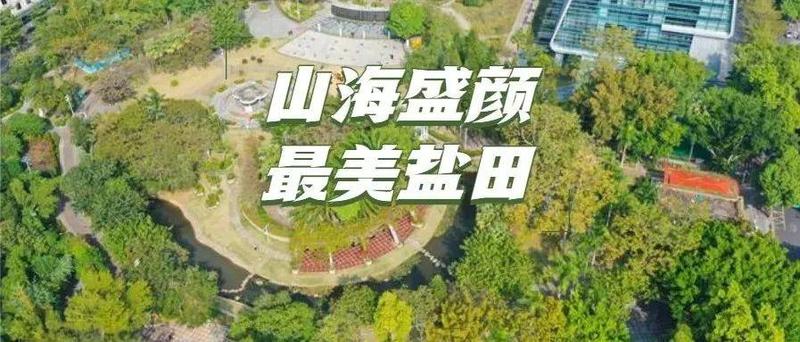 游盐记④丨“学法+游玩”双体验！ 来盐田这座公园上一堂“行走”的普法课
