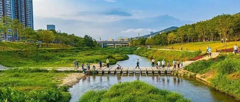 南山区再添一项“国字号”荣誉！获评“中国气候宜居城市”称号