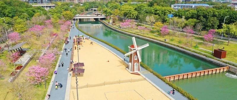 2022第一抹春色上线！中心河紫花风铃木绚烂绽放～