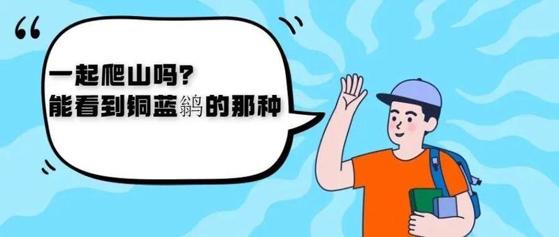 不愧是“城市生态氧吧”！国家三有保护动物都打卡盐田