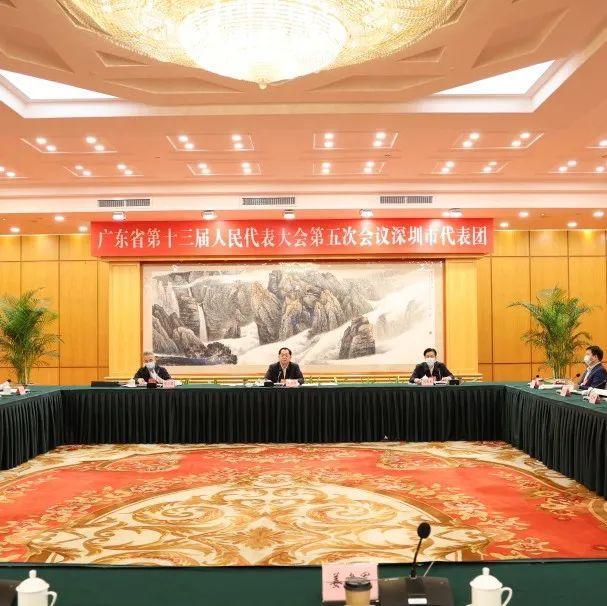 骆文智参加深圳代表团审议时建议 大力指导和支持深圳探索创新功能区人大工作