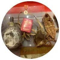 上好“党史”这门课，罗湖有这些生动“教材” | 党史学习教育巡礼②