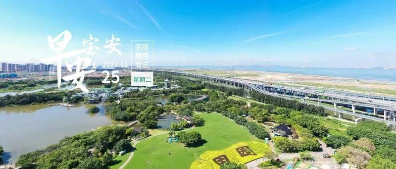 地铁覆盖宝安全域！宝安青少年宫2022年春季班招生啦丨早安，宝安