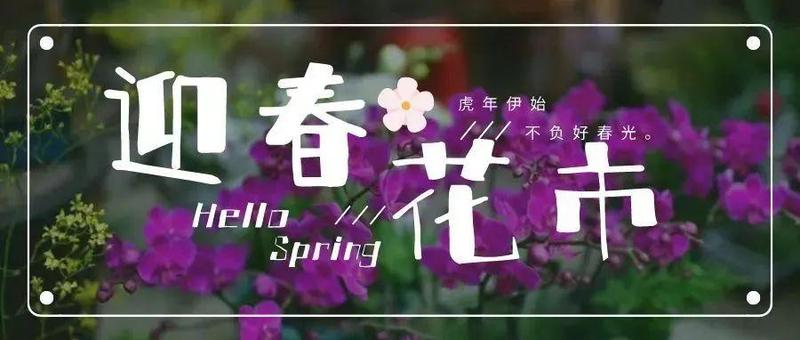 南山最全购花点！逛迎春花市，赏虎年春色~