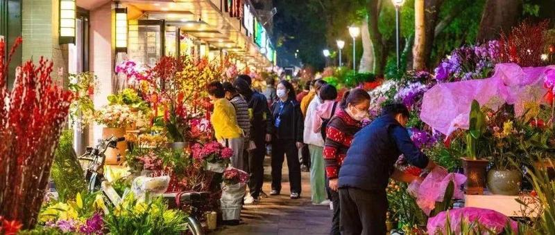 深圳各区购花点来了！今年迎春花市有大变化→
