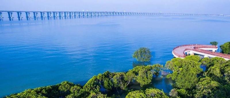 南方+ | 学史力行，为群众办实办好2953件实事