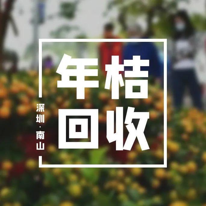 今年南山年花年桔回收工作启动！这份“指南”请收好~