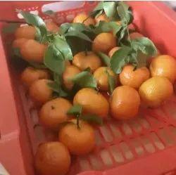 “没有一袋砂糖橘能过夜”突然刷屏，到底是什么梗？