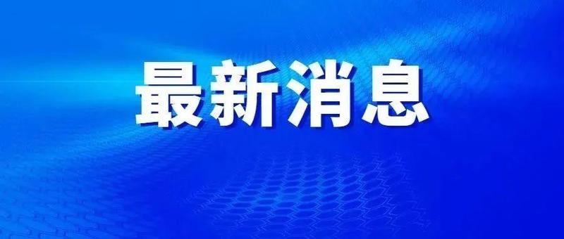 深！圳！摘！星！啦！