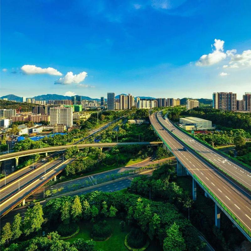 龙岗：民生实事暖心“答卷”  绘就东部中心幸福底色