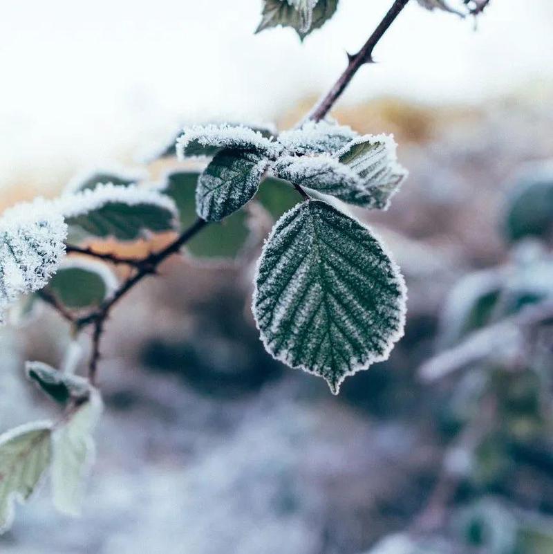 最低11℃！深圳本周将迎来第二波降温......