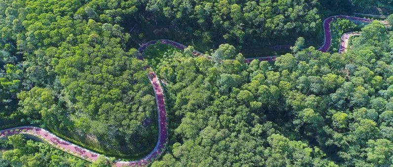 分享美好瞬间！龙岗这个活动持续到7月31日，千万别错过~