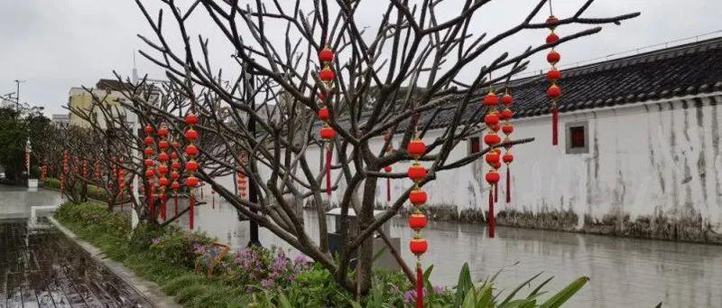 强冷空气来袭！深圳最低气温降至...